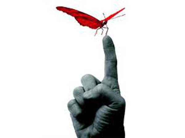 Mariposa-dedo-equilibrio-mental