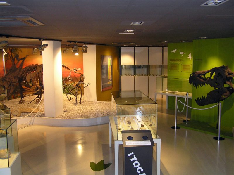 mupe, museo Único que alberga un exclusivo y completo fÓsil de dinosaurio