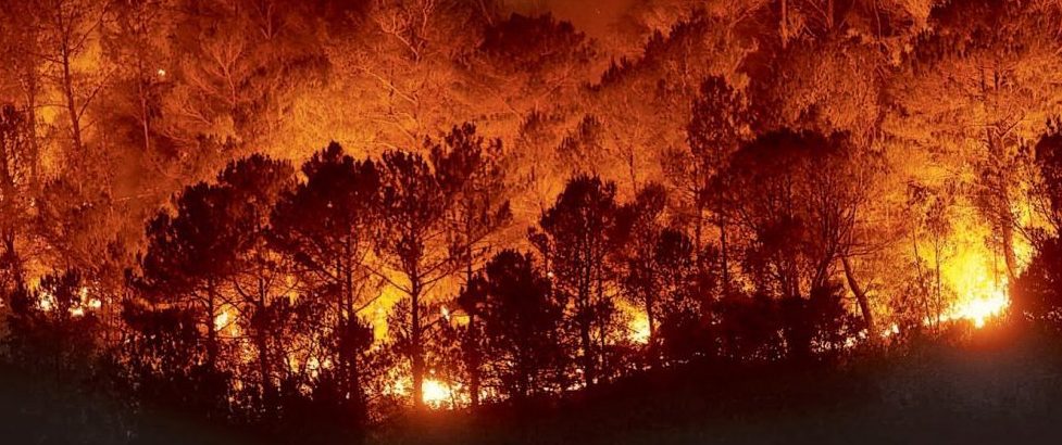una propuesta para la detección de incendios forestales se alza con el premio de #aceleradoradeideas
