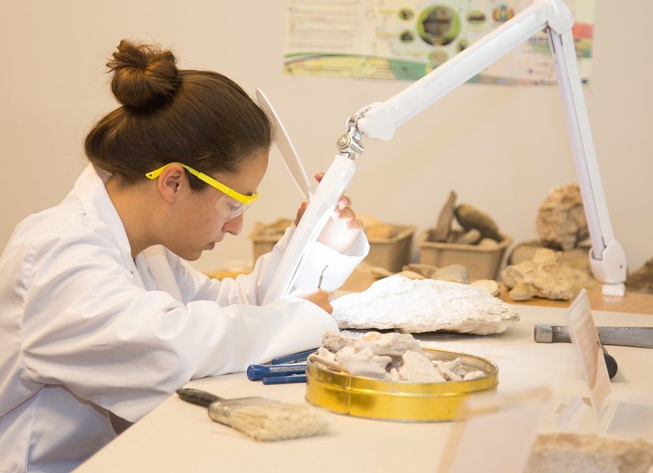 el gobierno crea la academia para jóvenes científicos