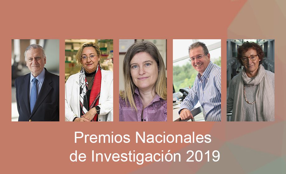 premios nacionales de investigación 2019