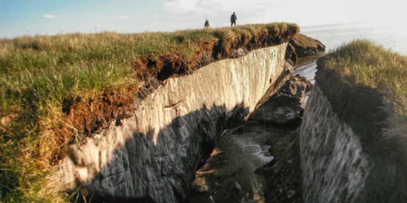 los suelos del permafrost pierden carbono