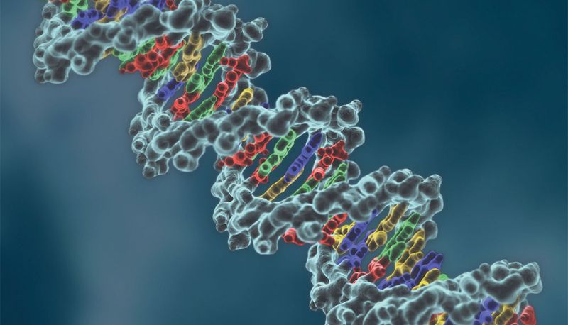 CRISPR_Cas revolucion genetica