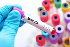 La malaria más mortífera
