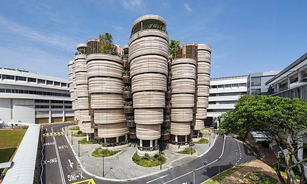 La inscripción de 20 años en la universidad de Singapur es un desafío 