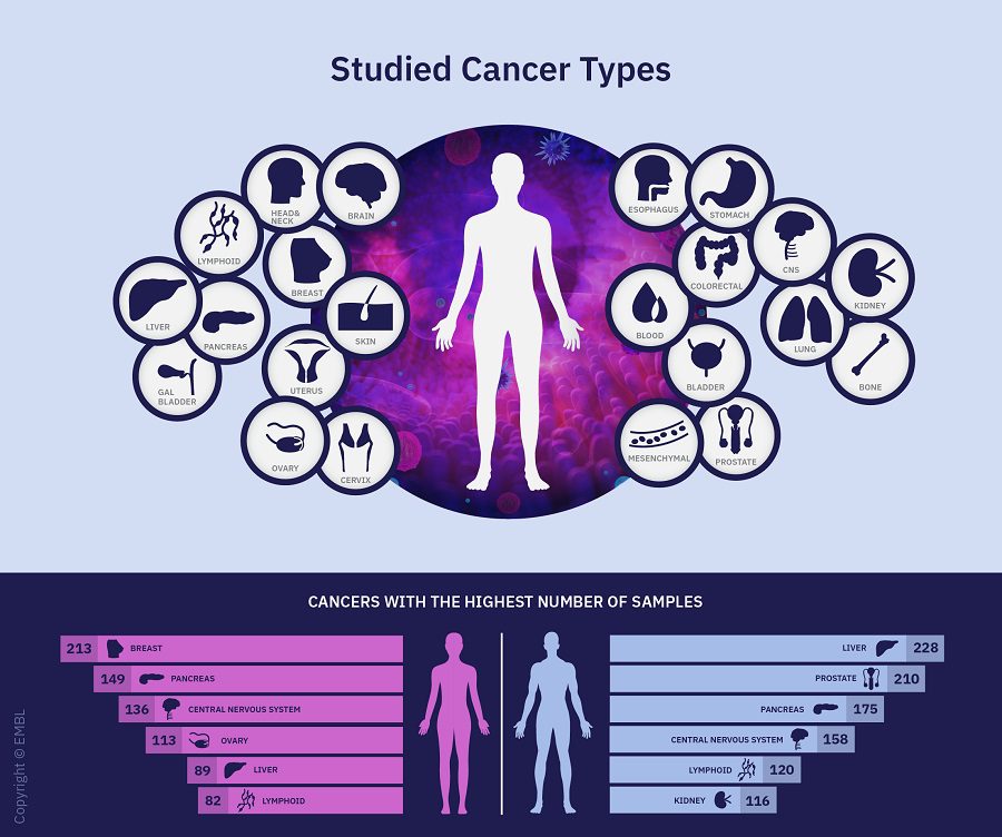 nih , los genomas del cáncer