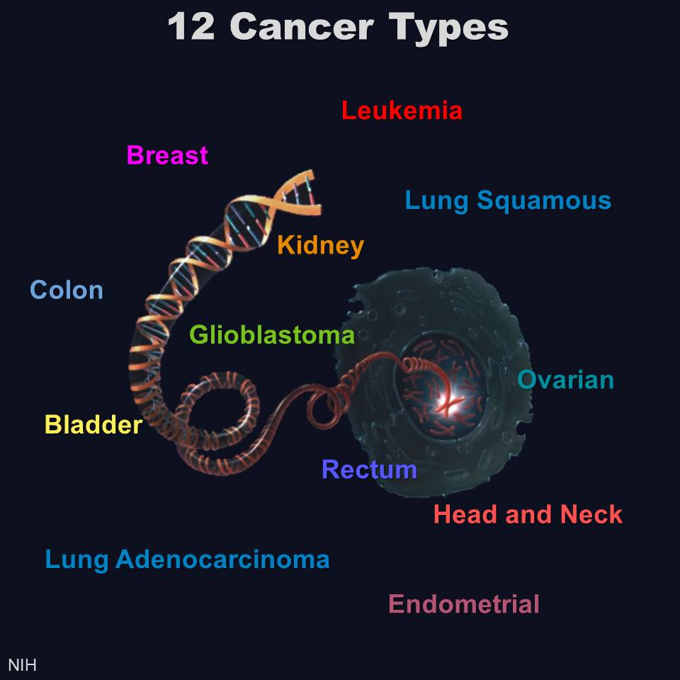 NIH , los genomas del cáncer