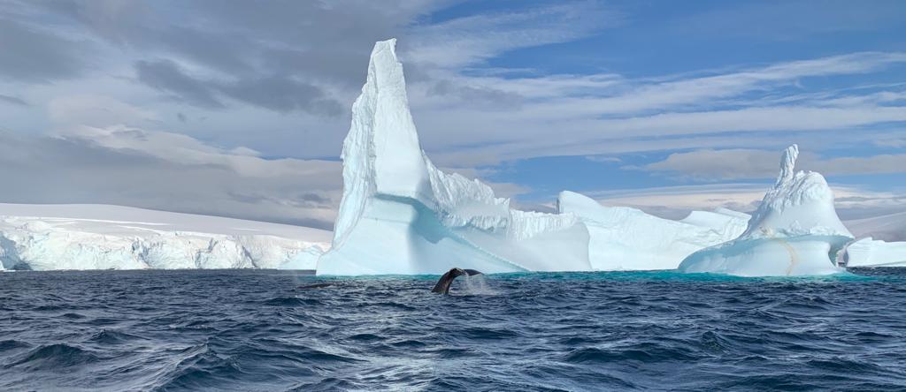 upc investiga la contaminación acústica de los océanos desde la antártida