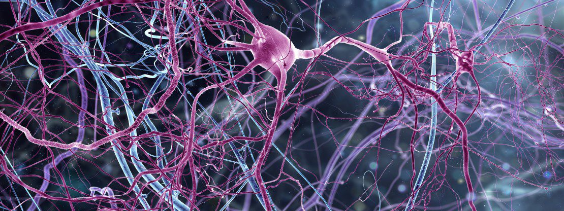 diferencias epigenéticas entre los hemisferios cerebrales que podrían influir en la enfermedad de parkinson.