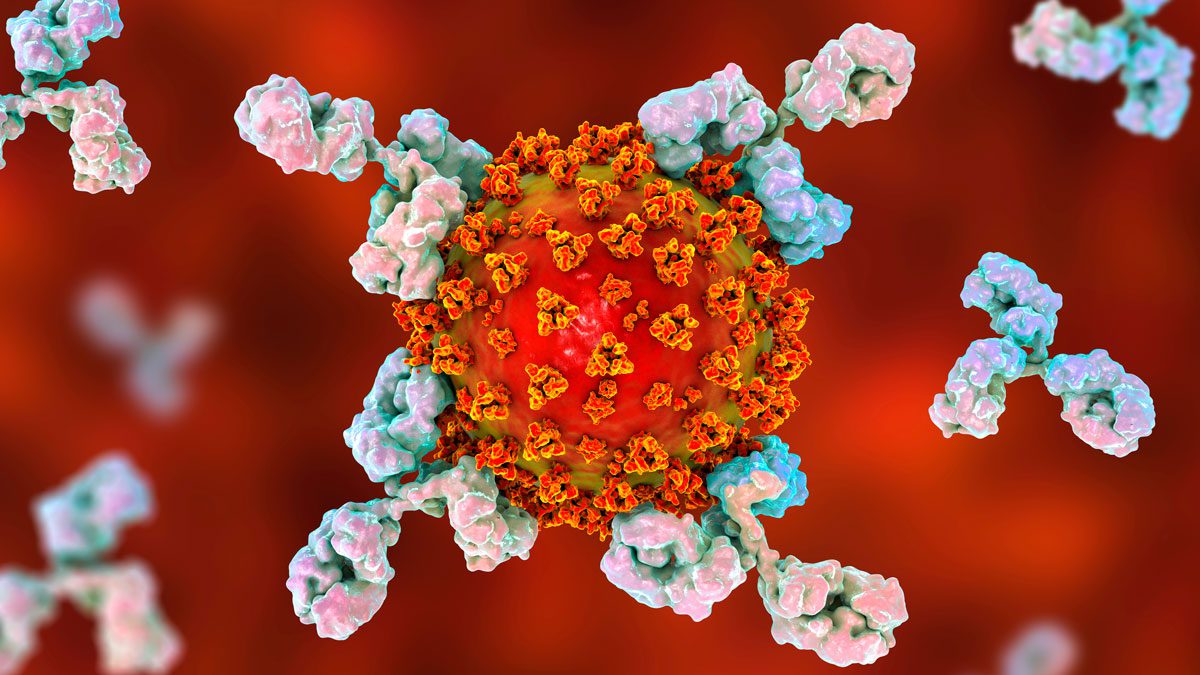 lo que los virólogos sabemos sobre sars cov-2