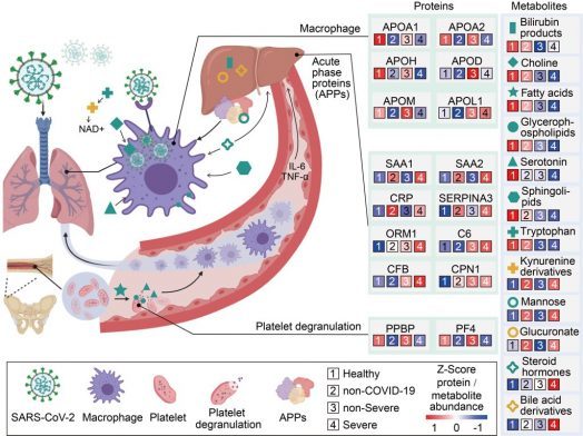primeros perfiles moleculares de las infecciones graves por covid-19