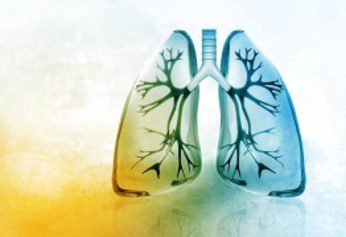 stanford- la inmunoterapia muestra potencial en el tratamiento de la fibrosis pulmonar