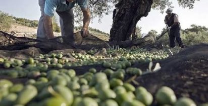 la comisión europea insta a adoptar medidas para proteger a los trabajadores de temporada