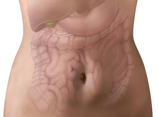 Perspicacia intestinal