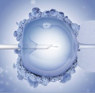 embriones modificados genéticamente fines terapéuticos
