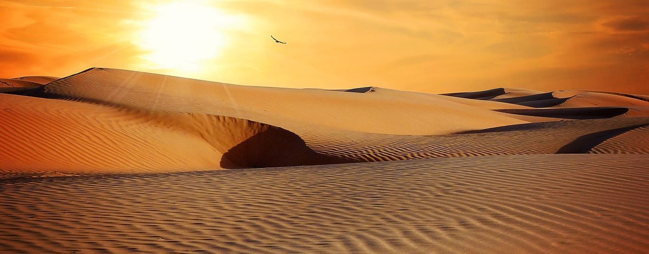 el agua podría extraerse del aire del desierto utilizando el calor de la luz solar
