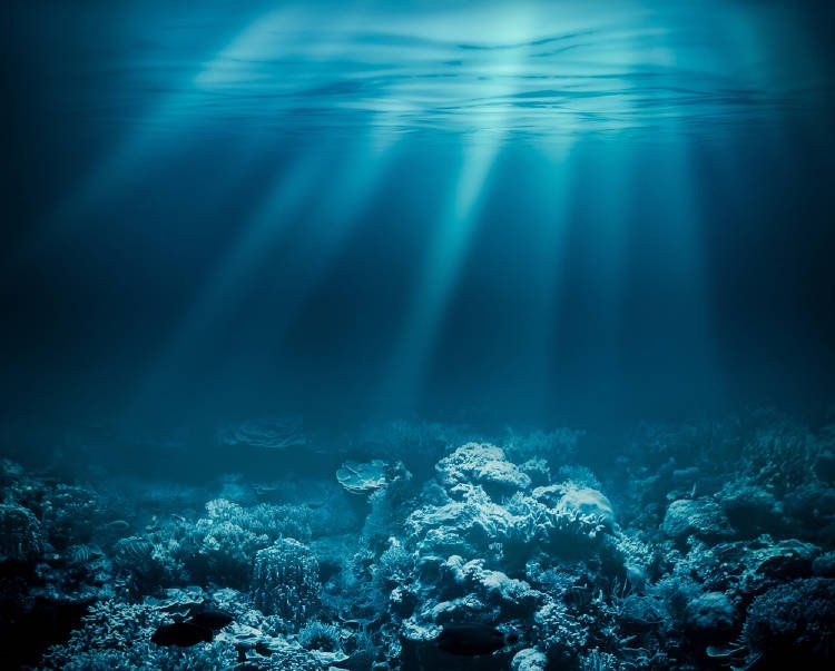 luz y sonido para ver bajo el agua