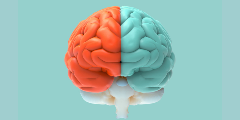 las turbulencias del cerebro humano y su funcionalidad