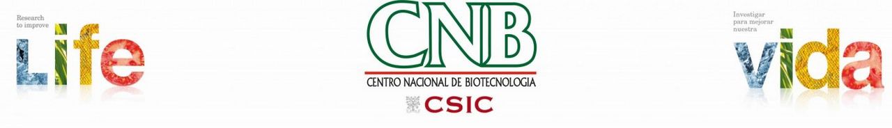cnb/csic – la vacuna española tecnología única que puede dar una respuesta duradera