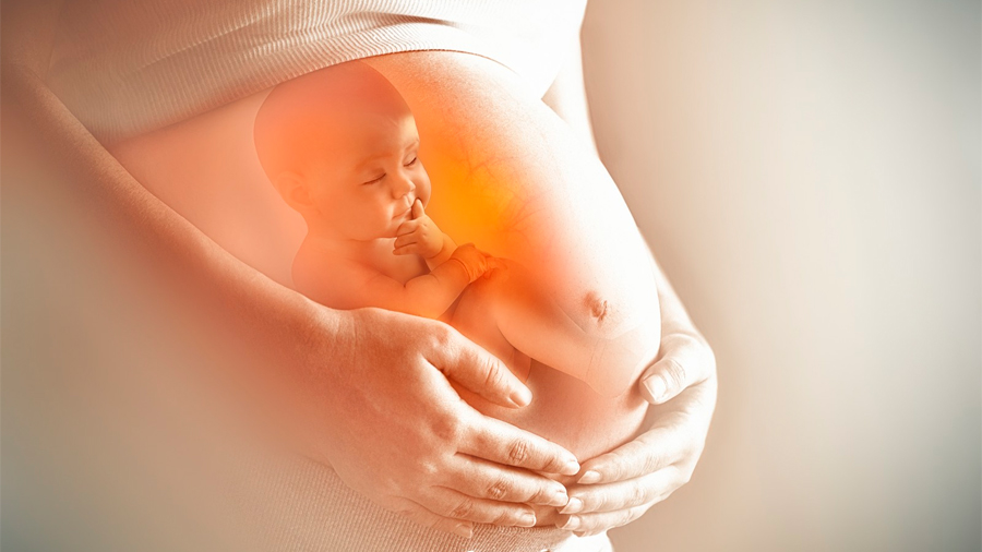 protección placentaria durante el embarazo