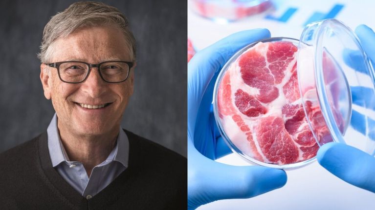 Las naciones ricas deberían cambiar a la carne sintética