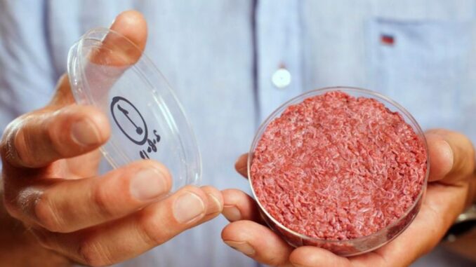 carne in vitro