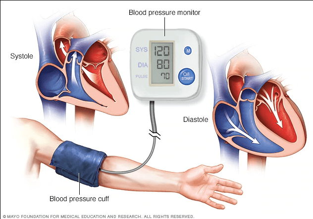 Harvard  ¿Qué número de presión arterial es más importante?