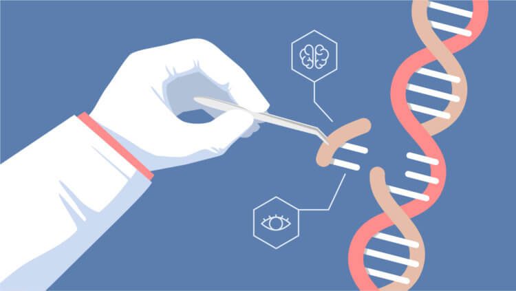 La terapia genetica CRISPR alivia el dolor mejor que los opiaceos