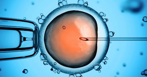 Crean ovulos y tejido ovarico con celulas madre
