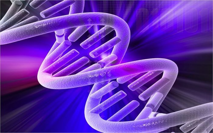 Origenes de la mutacion revela variaciones geneticas PRINCI