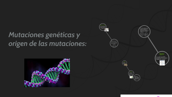 Origenes de la mutacion revela variaciones geneticas1
