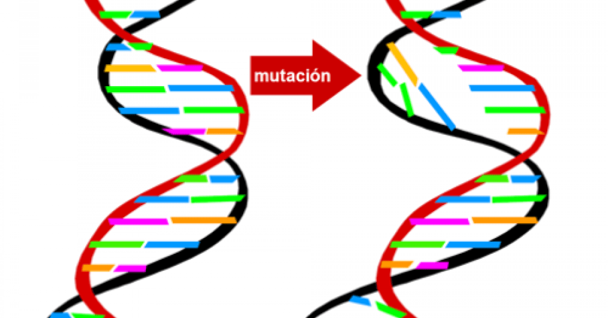 Origenes de la mutacion revela variaciones geneticas2