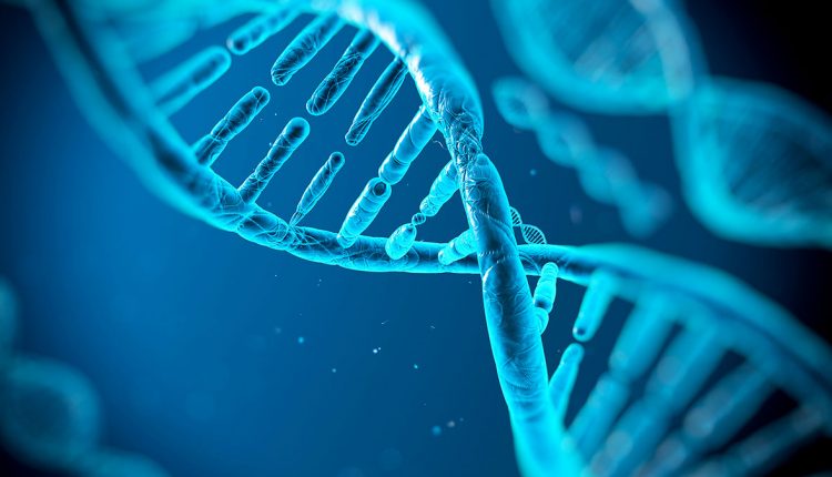 Proteina ayuda a reparar el ADN y podria potenciar la quimioterapia
