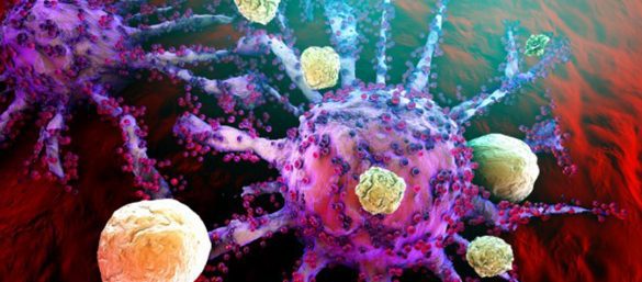 Estrategias contra el cancer en el sistema inmunologico