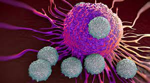 Estrategias contra el cancer en el sistema inmunologico3