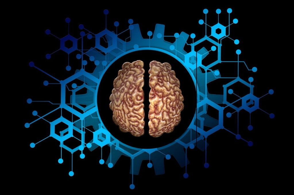 Una arquitectura informatica inspirada en el cerebro3