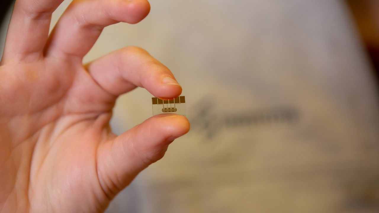 eRapid chip photo