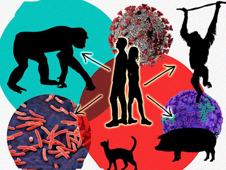 Identificar al proximo virus de animales a humanos