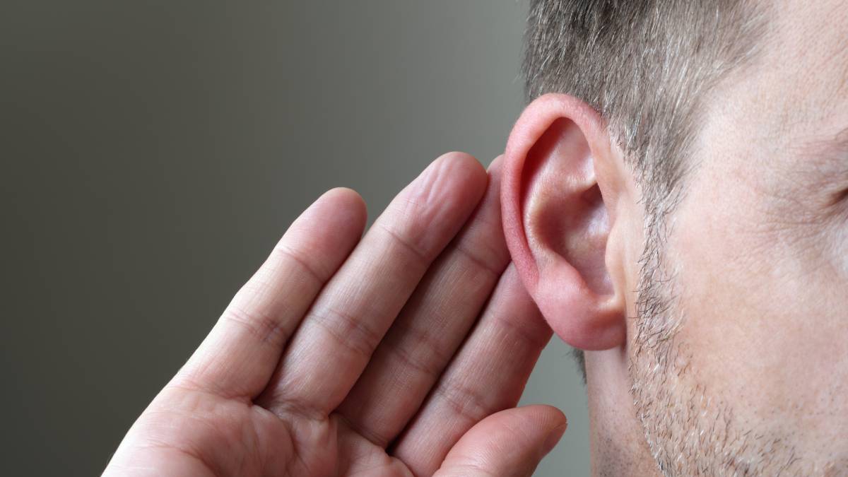 Prevencion y rescate de la perdida auditiva1