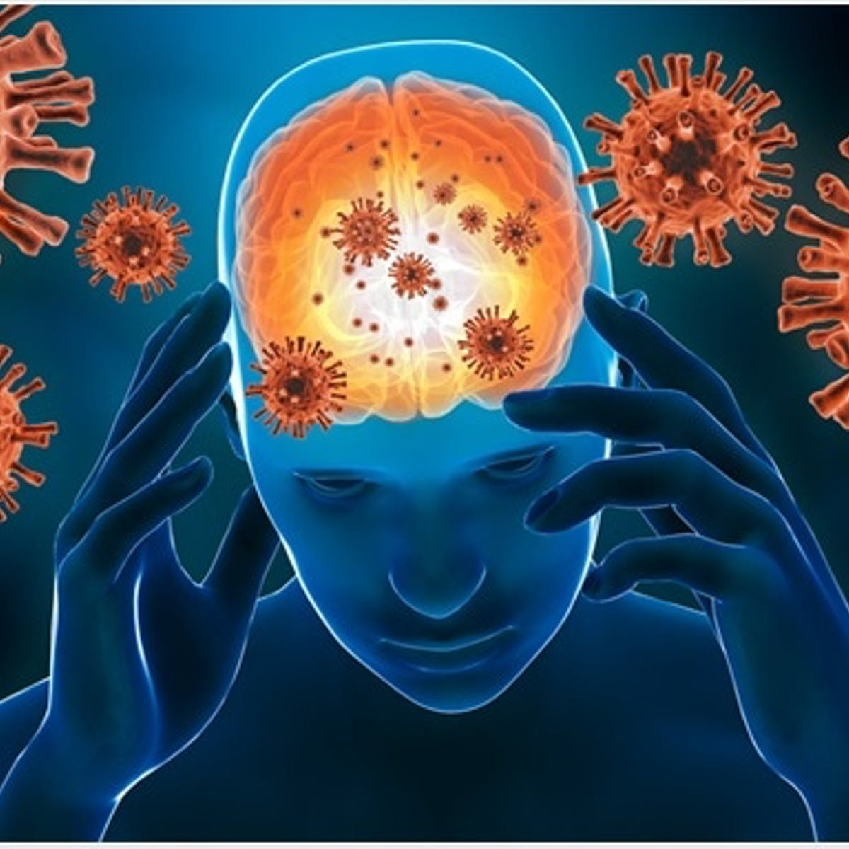 Inflamacion proteccion y salud cerebral
