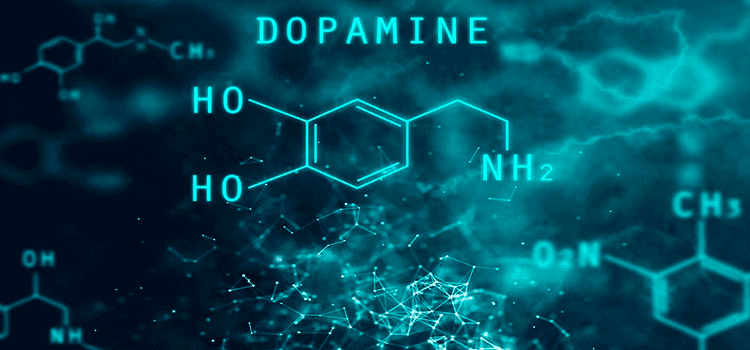 La dopamina determina el aprendizaje1