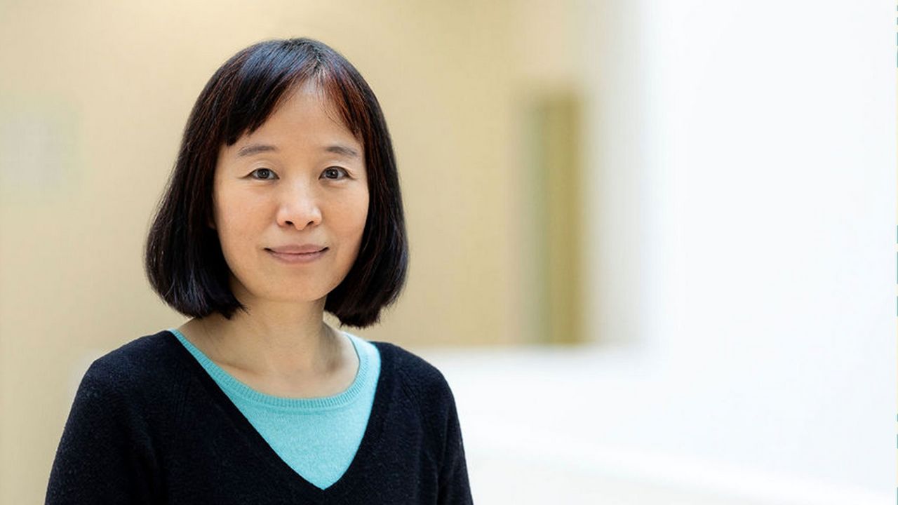 La profesora Fan Wang del MIT