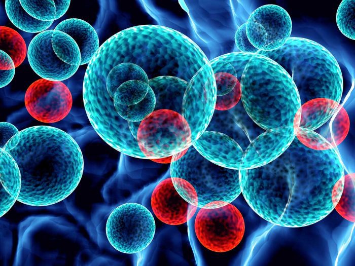 Nanoparticulas ‘made in Spain tratamientos cancer del futuro8
