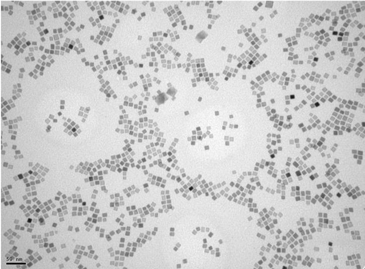 Nanoparticulas ‘made in Spain tratamientos cancer del futuro3