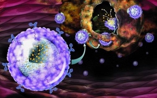 Nanoparticulas ‘made in Spain tratamientos cancer del futuro6