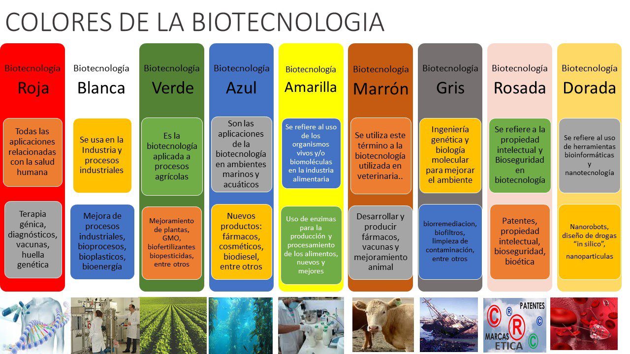 Colores de la biotecnologia