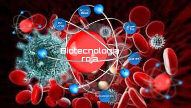 La biotecnologia revoluciona la investigacion cientifica R