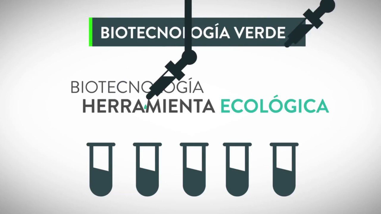 La biotecnologia revoluciona la investigacion cientifica V