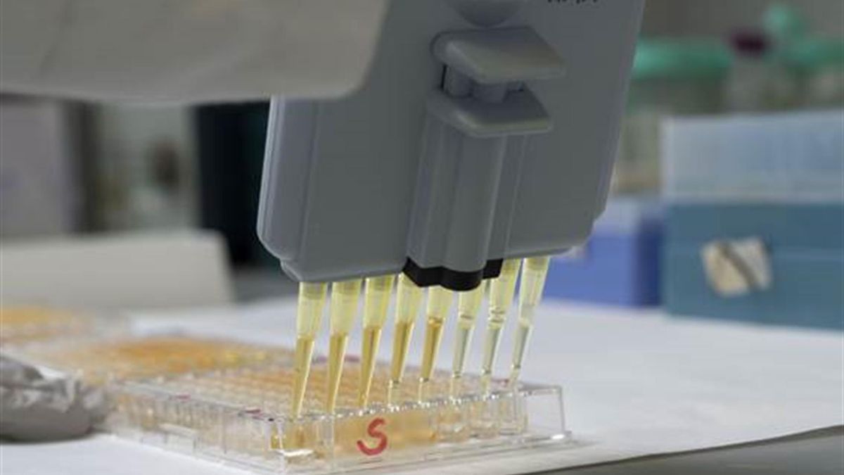 Test serologicos covid 19 se produciran en Surafrica1