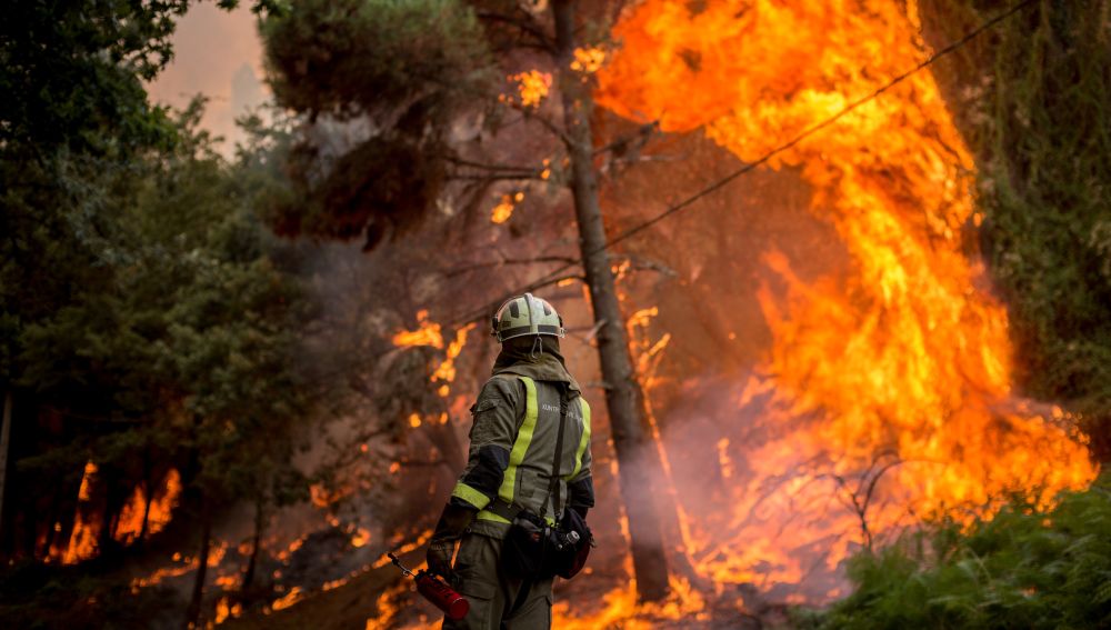 El cambio climatico aumenta los incendios forestales5
